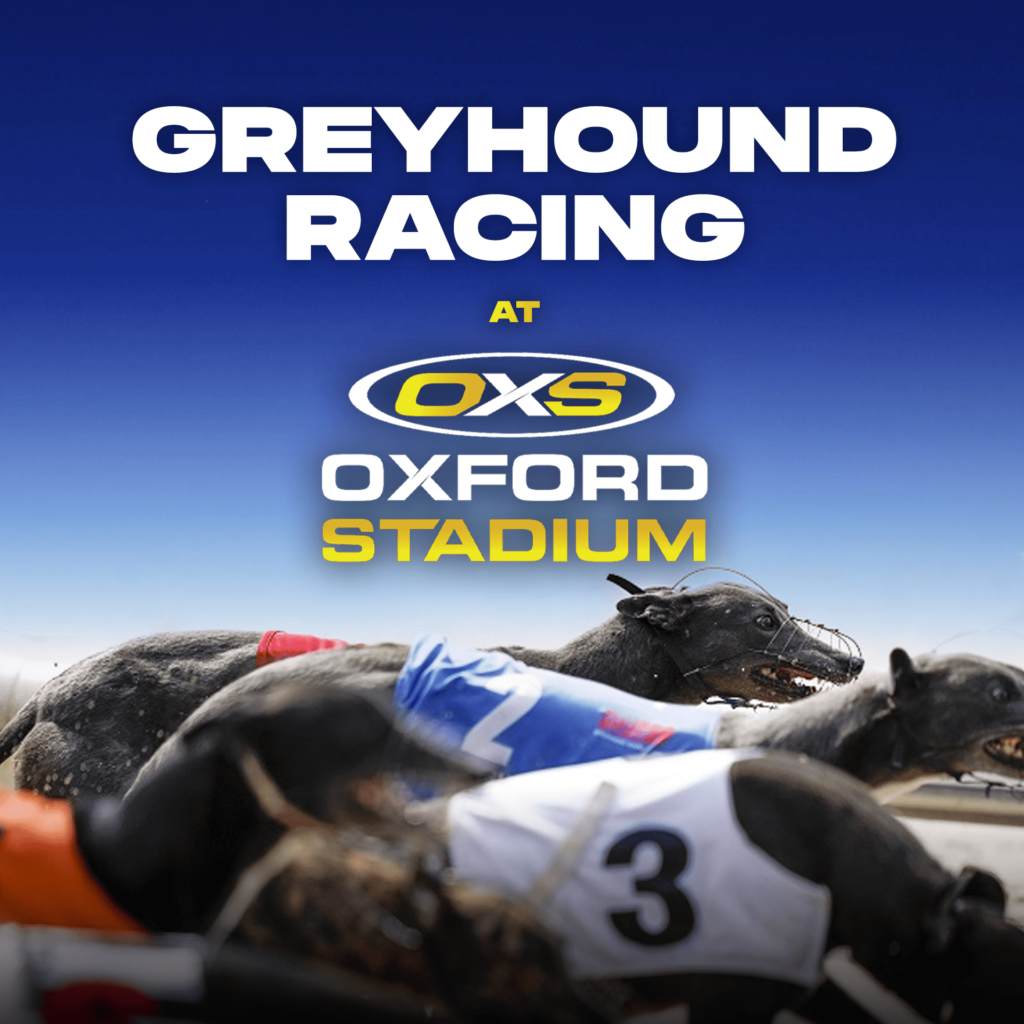 greyhound racing oxford ad plain