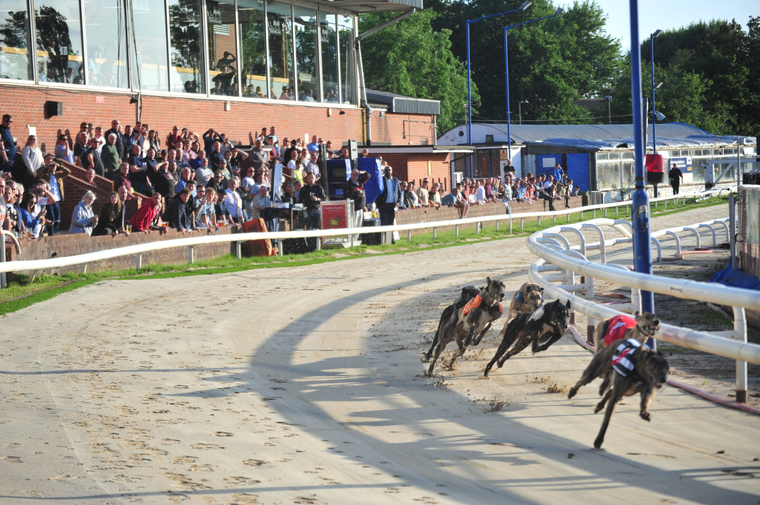 Oxford Stadium launch Greyhound of the Month prize for all owners ...