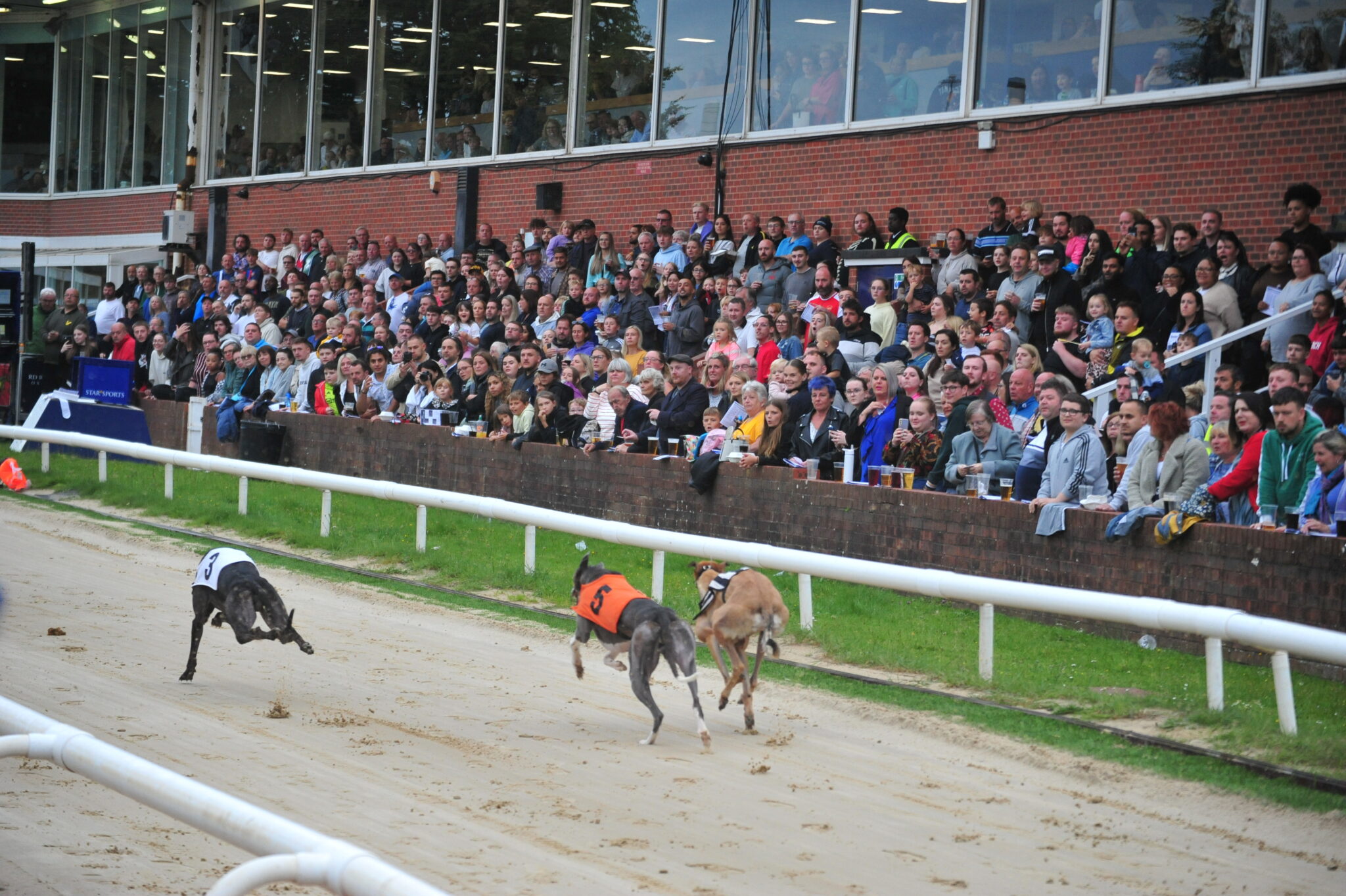 Greyhound racing attendance smashed as over 1,500 say cheers to Oxford ...