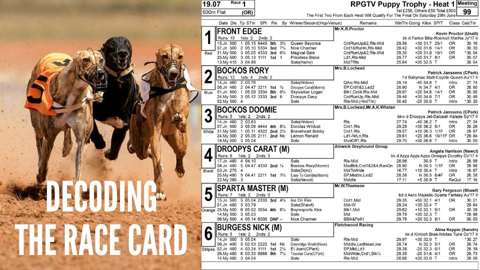 decoding the greyhound racecard