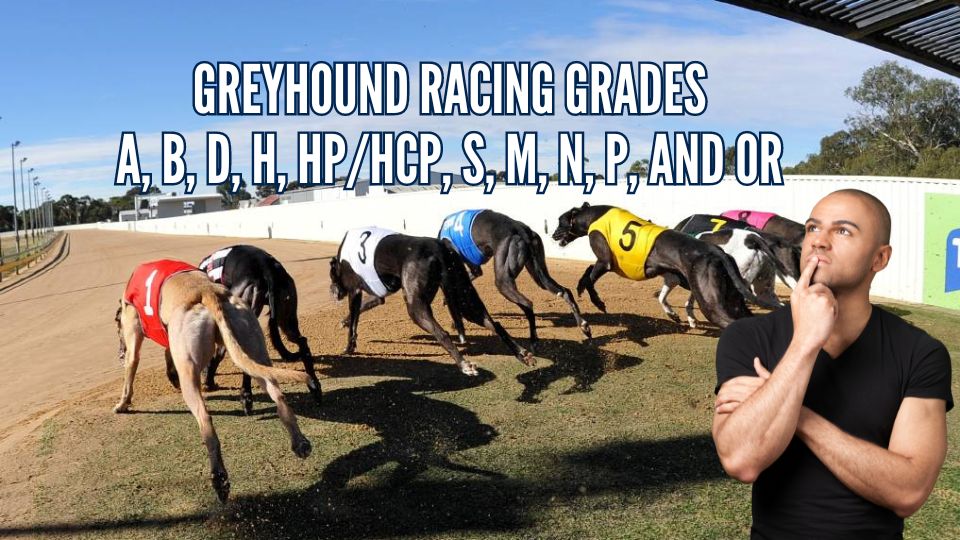 greyhound racing grades