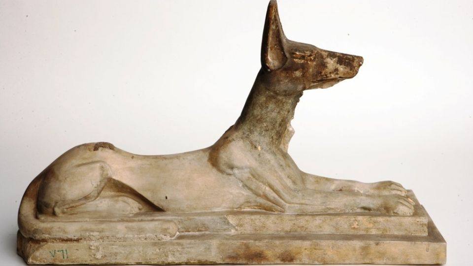 origin of greyhounds
