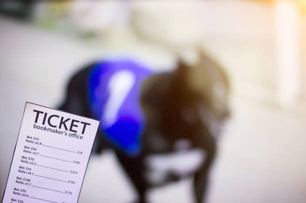 What percentage of Favourites win greyhound races?